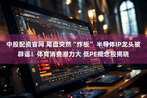 中股配资官网 尾盘突然“炸板” 半导体IP龙头被辟谣！体育消费潜力大 低PE概念股揭晓