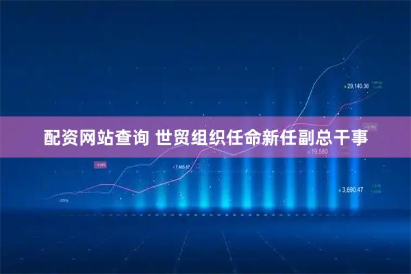 配资网站查询 世贸组织任命新任副总干事